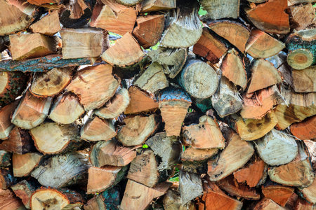 Firewood