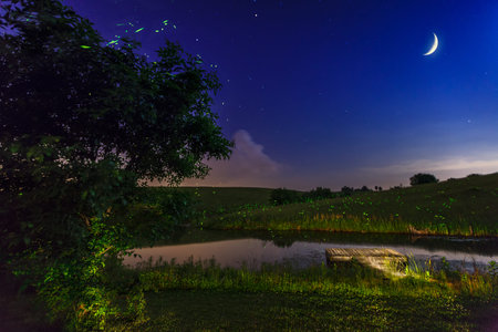 Lightning bugsの写真素材