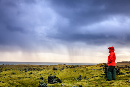 Moss-covered lava field in Icelandの写真素材