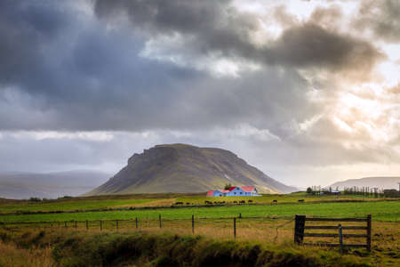 Rainstorm over a farm in Icelandのeditorial素材