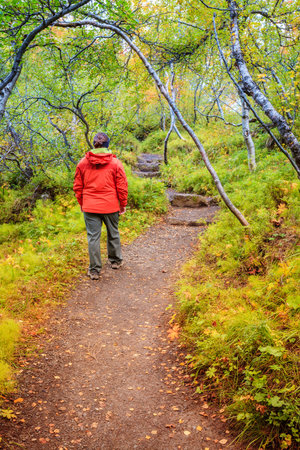 Walking through the forest on the bottom of Asbyrgi Canyon in Northern Icelandの写真素材