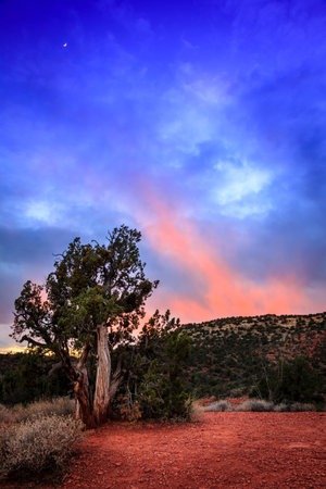 Sundown afterglow in Arizona high desert. Sedona Arizonaの写真素材