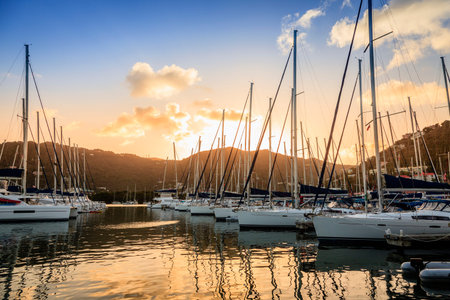 Sailboats at a marina on Tortola in British Virgin Islands