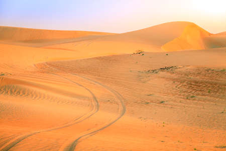 Tire tracks in a desert near Dunai, UAEの写真素材