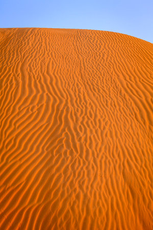 Ripples in the sand in the dunes of Dubai Desert Conservation Reseve, UAE