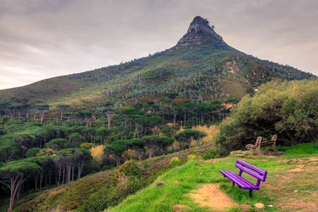 Lions Head Mountain in Cape Town, South Africaの写真素材