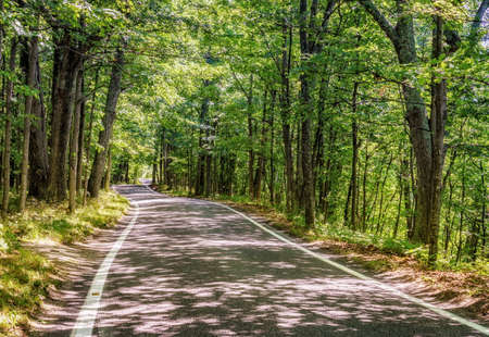 Tonnel of Trees Scenic Heritage Road near Harbor Springs, Michiganの写真素材