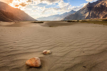 Sand dunes in Nubra Valley in Ladakh, Kashmir, Indiaの写真素材