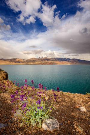 Alpine lake Tso Moriri in the Himalayas, Kashmir, Indiaの写真素材