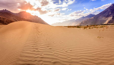 Sand dunes in Nubra Valley in Ladakh, Kashmir, Indiaの写真素材