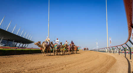 Dubai, United Arab Emirates - March 25, 2016: Practicing for camel racing at Dubai Camel Racing Club, Al Marmoom, UAEのeditorial素材