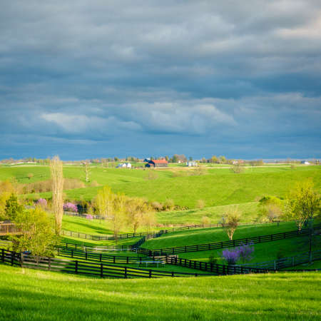 Beautiful springtime scene in Kentucky's Bluegrass regionの写真素材
