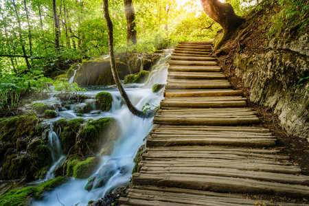 Plitvice Lakes National Park, Croatiaの写真素材