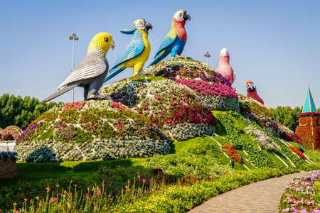 Dubai, UAE, December 12, 2016: Miracle Garden is one of the main tourist attractions in Dubai, UAEのeditorial素材