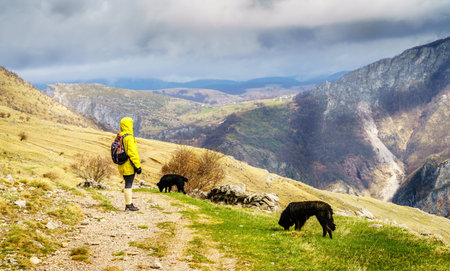 Woman is hiking in Dinaric Alps near Sarajevo, Bosnia-Herzegovina