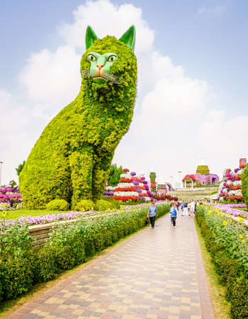 Dubai, UAE, December 22, 2018: Miracle Garden in Dubai, UAE featuring Disney theme in the winter of 2018のeditorial素材