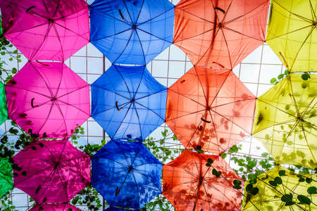 Dubai, UAE, January 22, 2018: Decorative umbrellas in Dubai Miracle Garden which is one of the main tourist attractions in Dubai, UAEのeditorial素材