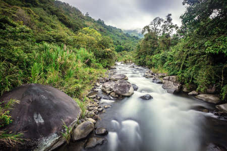 Long exposure image of a stream in cloud forest in Costa Ricaの写真素材