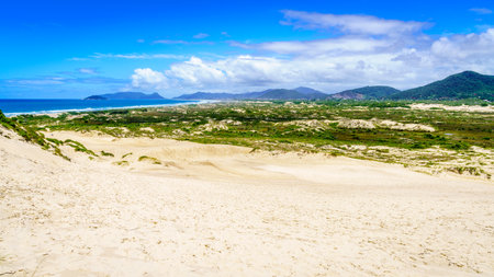 Scenic view of the dunes in ecological park in Florianopolis, Brazilの写真素材