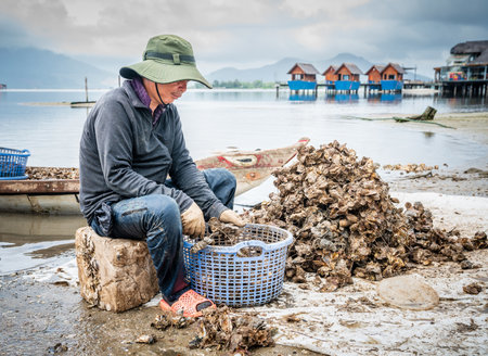 Central Vietnam, November 19, 2022: Fisherman is sorting morning catch of clams on the shore of the Tam GiangâCau Hai lagoon in Central Vietnamのeditorial素材