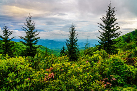 Scenic view of the Smokie Mountains from Blue Ridge Parkway near Maggie Valley, North Carolinaの写真素材