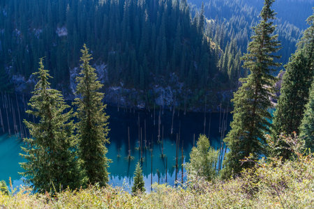 Kaindy lake - mountain lake in Kazakhstanの写真素材