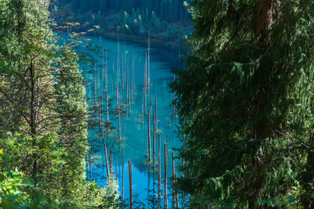 Kaindy lake - mountain lake in Kazakhstanの写真素材