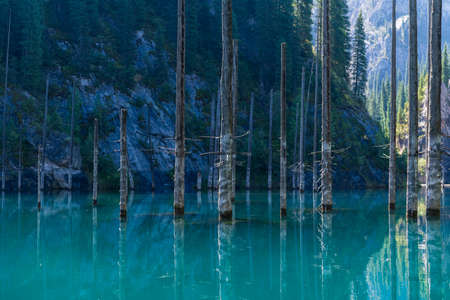 Kaindy lake - mountain lake in Kazakhstanの写真素材