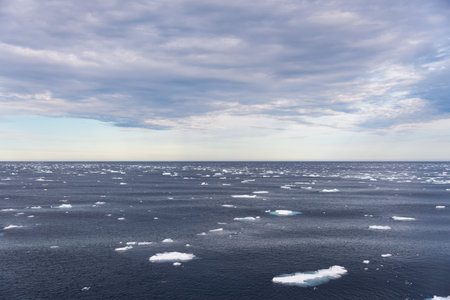 Arctic landscape - sea surface with ice floe