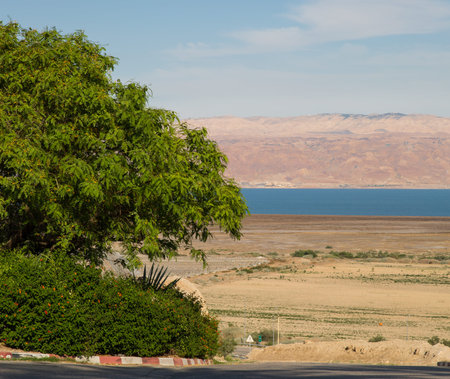 Dead Sea, Israel, Travel, Swimming, Healthcare And Medicine