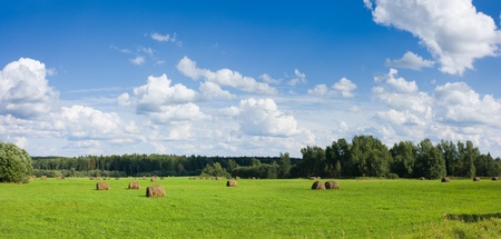 Panoramic view of field with haystacks near the forest under blue sky with white clouds under sunlightの写真素材