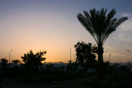 Sunset in Egyptの素材
