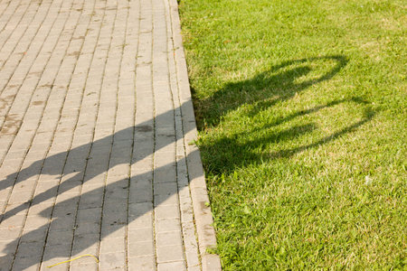 Shadows of two young women on sidewalk in parkの写真素材
