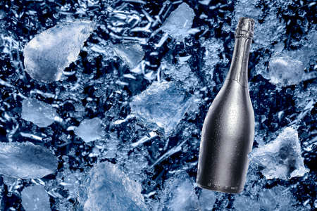 Champagne bottle with snow iceの写真素材
