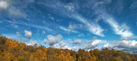 A richly blue sky and beautiful cirrus clouds swim along the autumn sky on a city park.