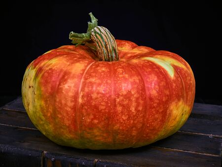 Very juicy and very multi-color beautiful pumpkin.の写真素材