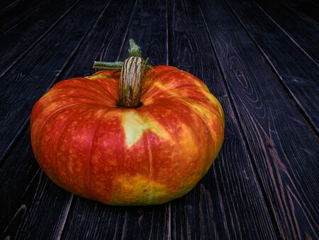 Very juicy and very multi-color beautiful pumpkin.の写真素材