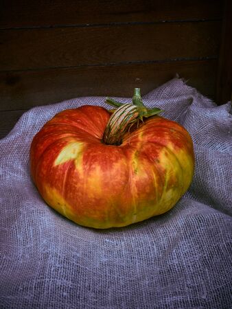 A very juicy and very multi-color beautiful pumpkin is photographed with good lighting on the background of a wooden floor and a natural piece of linen material.の写真素材