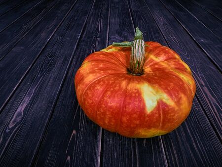 A very juicy and very multi-color beautiful pumpkin is photographed with good lighting on the background of a wooden floor and a natural piece of linen material.の写真素材