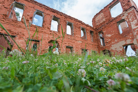destroyed part of an abandoned brick building in the background of the azure sky and clouds from the bottom up with grass in the foregroundの写真素材