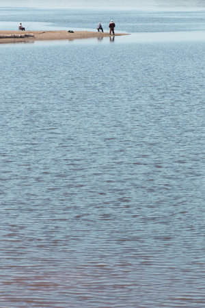 several men catching fish on the shore
