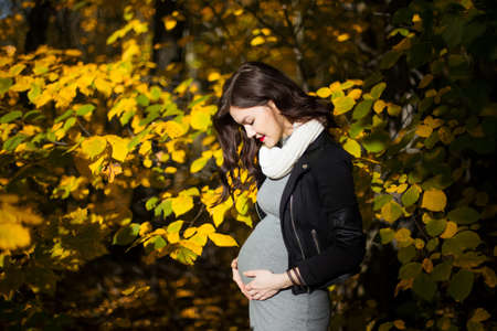 pregnant girl on the background of beautiful autumn leavesの写真素材