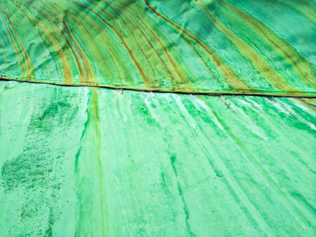 aluminum green wall with rustの写真素材