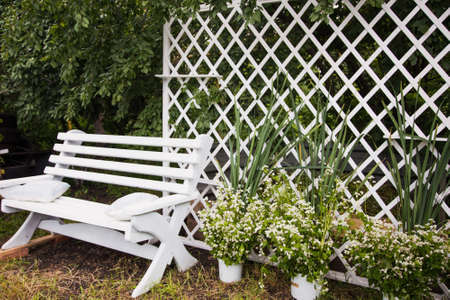 white benches in a green garden close upの写真素材