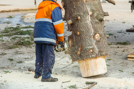a city service worker saws a tree with a gasoline powered saw.