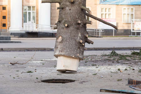 christmas tree base installation in a special well close up.の写真素材