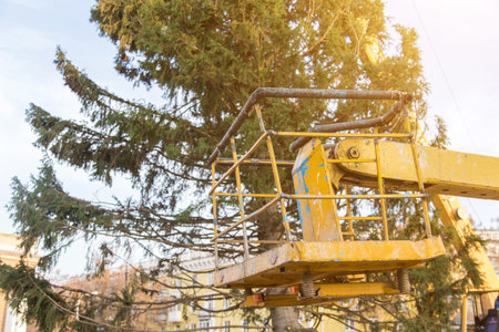 crane lifts and installs a Christmas tree on the town square.の写真素材
