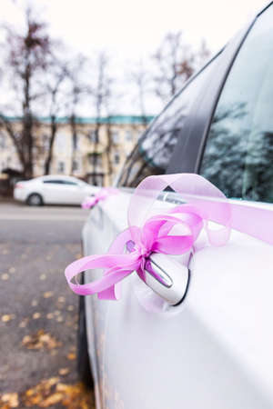 wedding car decorated with pink ribbons.の写真素材