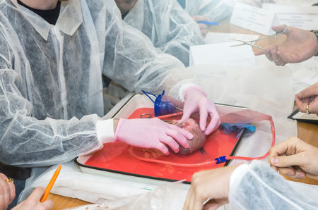 medical practice for students. open heart surgery. Stitching of vessels and stopping of bleeding