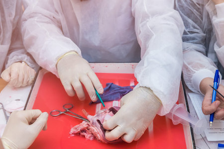 medical practice for students. open heart surgery. Stitching of vessels and stopping of bleeding